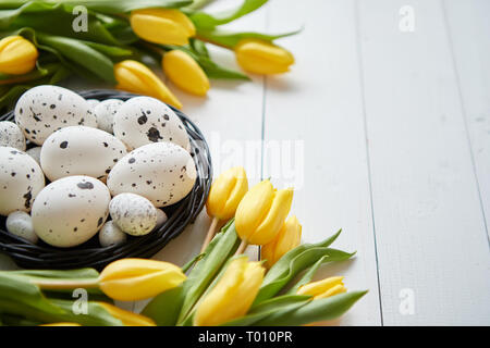 Schöne gelbe Tulpen mit gepunkteten Wachteln und Huhn Eier im Nest auf Weiß Stockfoto