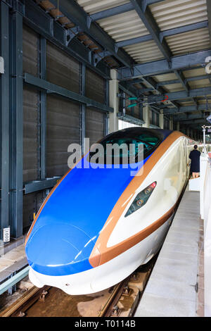 Hokurikui Shinkansen, E7-Serie, bei der Plattform in Kanazawa Station. Ansicht von vorne auf der Suche entlang der Länge des Zuges. Stockfoto