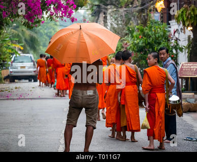 Schwarzer Mann mit orangefarbenem Regenschirm beobachtet buddhistische Mönche in orangefarbenen Bademänteln, die sich für die morgendliche Almosenfeier Luang Prabang, Laos anstellen Stockfoto