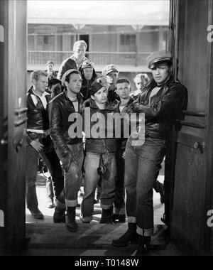 MARLON BRANDO, der Wilde, 1953 Stockfoto