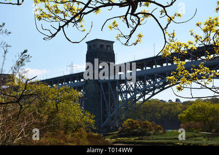 Das Britannia Bridge, die durch die Bäume im Frühjahr aus dem Anglesey Coastal Path an den Ufern der Menai Strait. Stockfoto