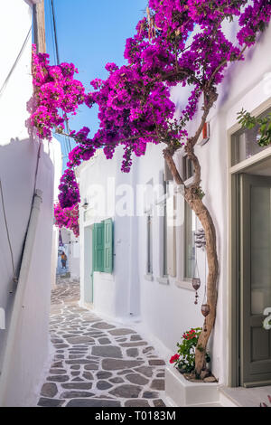 Blick auf eine typische Gasse in der Altstadt von Naoussa, Paros, Kykladen, Griechenland Stockfoto