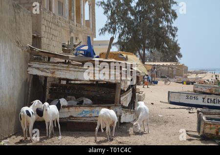 Ngaparou, eine kleine Küstengemeinde in der Petite Cote von Senegal Stockfoto