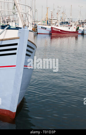 Fischerboote im Hafen von Skagen, Dänemark Stockfoto