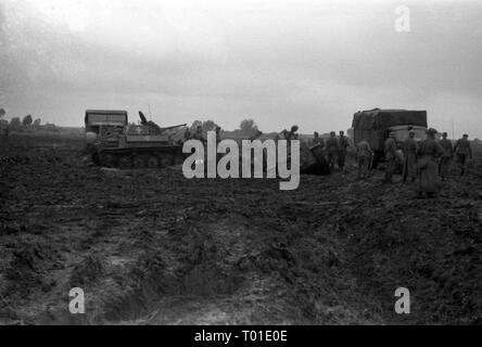 Wehrmacht Heer Ostfront mit Panzer II (Puma Turm KWK 39 5 cm) und Panzerjäger Marder II - deutsche Armee an der Ostfront mit Tank II (Puma Revolver 5 cm) und Panzerjäger Marder II. Stockfoto