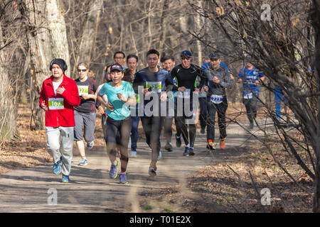 ALMATY, Kasachstan - 16. MÄRZ 2019: eine dichte Gruppe von unbekannten Männern und Frauen läuft durch ein Wäldchen im Frühjahr Marathon in der Stadt Almaty Stockfoto