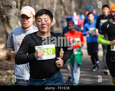 ALMATY, Kasachstan - 16. MÄRZ 2019: eine dichte Gruppe von unbekannten Männern und Frauen läuft durch ein Wäldchen im Frühjahr Marathon in der Stadt Almaty Stockfoto