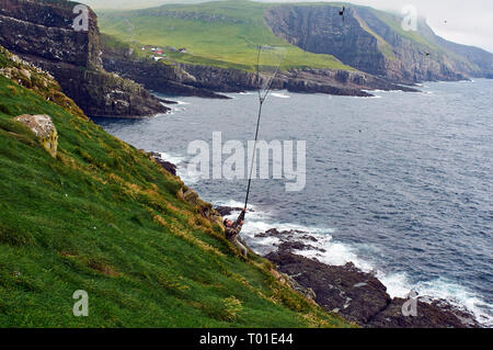 Vögel auf Mykines Färöer Stockfoto