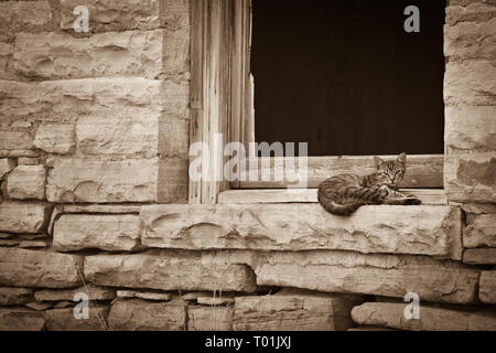 Del Rio, Val Verde County, Texas, USA Stockfoto