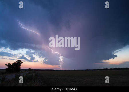 , Gillespie County, Texas, USA Stockfoto