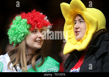 Wales und Irland Fans vor dem Guinness sechs Nationen Match im Fürstentum Stadium, Cardiff. Stockfoto