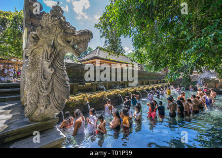 Gruppe von Gläubigen bei der Reinigungszeremonie in Pura Tirta Empul Tempel berühmt für seine Heiligen Quellen Wasser Stockfoto