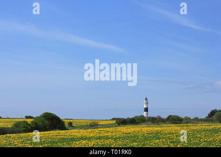 Der Leuchtturm von Kampen auf der Insel Sylt im Mai Stockfoto