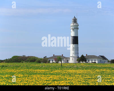 Der Leuchtturm von Kampen auf der Insel Sylt im Mai Stockfoto