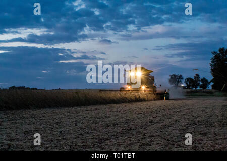 Bauer arbeiten das Feld Struktur bis Einbruch der Dunkelheit im Spätsommer Soja-ernte. Diese Szene war in Bond County, Illinois gefunden. Stockfoto