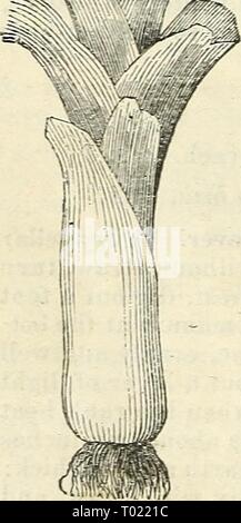 Dreer's Garten Kalender: 1874. dreersgardencale 1874 henr Jahr: 1874 Boston gewellt Kopfsalat. Frühe Cabbag' e Kopfsalat. ^ mcT 5^V 'Bl'^großen Musselburg Lauch. Stockfoto