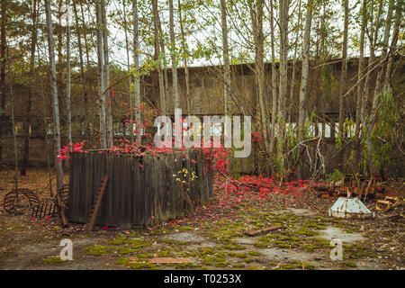Ukraine, Tschernobyl Sperrzone: Menschen, die wieder in die Sperrzone