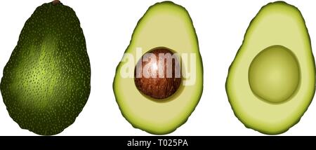 Festlegen von realistischen Avocados. Ganze avocado Obst, die Hälfte mit Knochen, Stück, ohne Knochen. Vector Illustration Stock Vektor