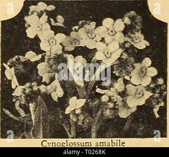 Dreer's Garden buchen Sie für 1946: treu, die seit mehr als einem Jahrhundert henr dreersgardenbook 1946 Jahr: 1946 Kosmos Dazzler Extra-Early Riesen Sensation Die frühesten des Kosmos mehrere Wochen vor allen anderen blühen. Hat wirklich wunderbare Blüten von außergewöhnlicher Größe und künstlerischen weil - abgerundete Form. Eine herausragende neue Art. 3 bis 4 ft. 2037 Crimson. . Sehr reiche Farbe. 2046 Dazrier. Die gut-gebildet, breit-blättrige Blüten sind ein ap-Läuten tief Amaranth crimson. 2038 Pinkie. Eine herrliche Hellrosa. 2039 Reinheit. Exquisite weiße Blüten. Alle oben genannten Optionen: Pkt. 15 c; große pkt. 30 c;] 4 oz. 60 C. 2040 Sensatio Stockfoto