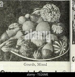 Dreer's Garden buchen Sie für 1947. dreersgardenbook 1947 henr Jahr: 1947 Godetia - Satin Blume Godetia -^ afjn Blume (A)® 2490 Doppel gemischt. Wo auch die Sommer sind nicht zu heiss und auch nicht zu trocken. Die Pflanzen sind bedeckt mit auffälligen, großen, doppelt, samtartige Blüten in vielen schönen Farben. Blüht von Juni bis August. 2 ft. Pkt. 10 c; große pkt. 30 C. Gomphrena® Kugel Amaranth - Bachelor Taste 2475 Rubra. Auffällige, Klee, pur-pliih rote Blüten fror Juli bis zum Frost getragen. Leicht getrocknet für Ter gewinnen. 18 in. Pkt. 10 c; "Große pkt. 2 Sc. 2478 gemischt. Weiß, Pink, Violett, Orange in der Mischung. Juni zu Stockfoto