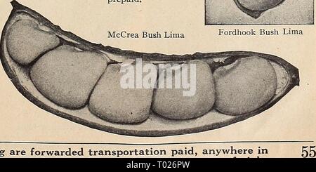 Dreer's Garden buchen Sie für 1942. dreersgardenbook 1942 henr Jahr: 1942 Fordhook Bush Lima Alle pflanzlichen Samen in diesem Katalog angeboten werden weitergeleitet Transport bezahlt, überall in den Vereinigten Staaten, wir reservieren das Privileg der Versand als Paket per Post, Express, oder Fracht Stockfoto