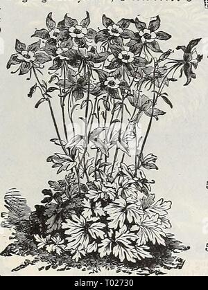 Dreer's Garten Kalender: 1898. dreersgardencale 1898 henr Jahr: 1898 Stockfoto