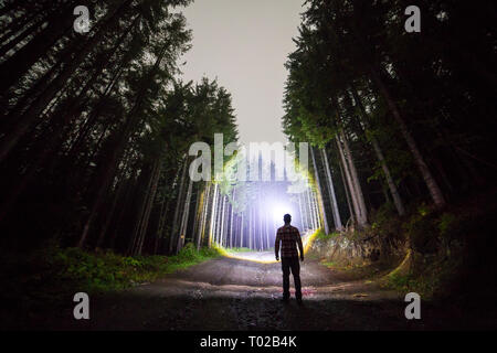 Rückansicht der Mann mit der Taschenlampe auf waldboden Straße unter hohen hell beleuchteten Bäume unter schönen Dunkelblauen Himmel Fichten. Nacht Stockfoto