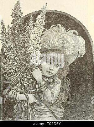 Dreer's Garten Kalender. dreersgardencale 1890 henr Jahr: 1890 für Garten und Gewächshaus. 109 1.6 re Licht rot, große weiße Intensive feurig rot; ein reichhaltiges C Mi 0. K}^ - fortgesetzt. Conquete. Cherry Red, Pure White hlotch, U]) I&gt; Ei' Blütenblätter gestreift Rose. Eugene Scribe. Blume sehr groß und perfekt; Soft rose flammten witli Karminrot. Hesperiden. Ausgiebig gestromt und als Flocken, hell rosa Lachs auf ein reines Weiß. Ida AVliite Boden, getönte Rose, geflammt Carmine, unteren Blütenblätter gelb. Isaac Buchanan. Reines Gelb; ein Beau-tiful Blume. La Candeur. Reines Weiß, schwach gestreifte Carmine. Poussi Stockfoto