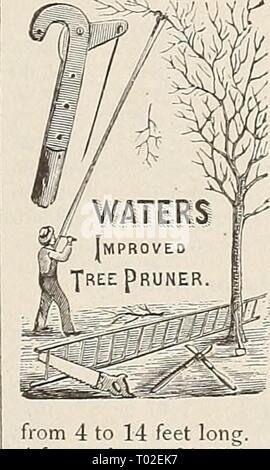 Dreer's Garten Kalender für 1892: ein Katalog der Wahl Gemüse-, Feld- und Blumensamen neue, seltene und schöne Pflanzen Garten implementiert und Düngemitteln. dreersgardencale 1892 henr Jahr: 1892 Stockfoto