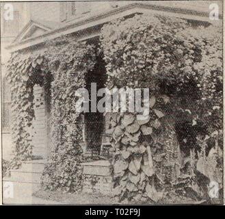 Dreer's Garten Kalender: 1900. dreersgardencale 1900 henr Jahr: 1900 Stockfoto