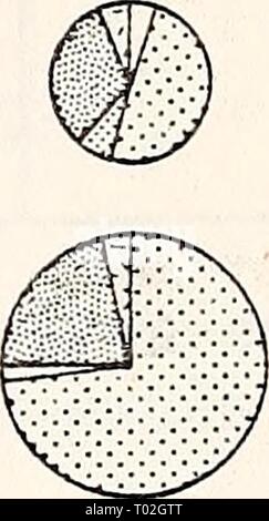 Ökologische Studie der Amoco Cadiz Ölpest: Bericht des NOAA-CNEXO Gemeinsame wissenschaftliche Kommission. ecologicalstudy 00 noaa Jahr: 1982 - 3 ii. Stockfoto