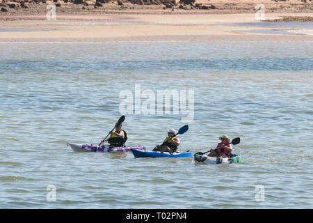 Ardrossan South Australia, 17. März 2019. Kanuten Paddeln in der Stadt Haiger auf Gulf Saint Vincent gebadet in schöner Morgen Sonnenschein Credit: Amer ghazzal/Alamy leben Nachrichten Stockfoto