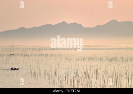 Peking, China. 15 Mär, 2019. Foto am 15. März 2019 zeigt einen Blick auf das Meer in Xiapu County im Südosten der chinesischen Provinz Fujian. Credit: Wei Peiquan/Xinhua/Alamy leben Nachrichten Stockfoto