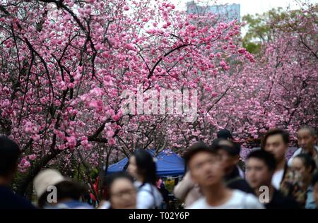 Kunming, Provinz Yunnan in China. 16 Mär, 2019. Die Menschen genießen Kirschblüten bei Yuantongshan Park in Kunming, der Hauptstadt der Provinz Yunnan im Südwesten Chinas, 16. März 2019. Credit: Qin Qing/Xinhua/Alamy leben Nachrichten Stockfoto