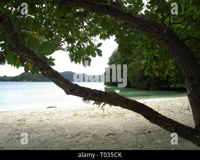 North Beach, Palau den weißen Sandstrand des North Beach von Bäumen umrahmt und von Rock Inseln, Palau Stockfoto