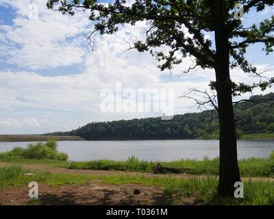 Ein hoher Baum, der am Ufer des Lake Wallace Robbers Cave State Park in Wilburton, Oklahoma, hoch steht Stockfoto