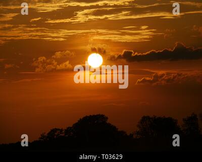 Große runde Sonne untergeht am Horizont mit einem Hintergrund von flammendem orangefarbenem Himmel und Silhouetten von Bäumen Stockfoto