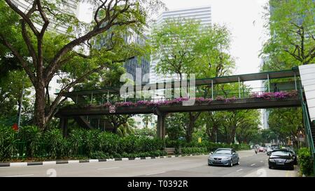 SINGAPUR – 2016. MÄRZ: Eine der malerischen Straßen und Fußgängerüberwegen in Singapur, die mit Blumen bedeckt sind. Stockfoto