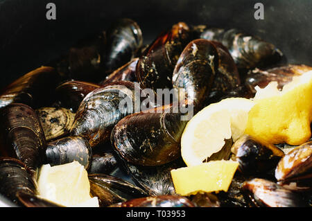 Gedämpfte Muscheln in einem klassischen Topf mit einigen Stücken der Zitrone Stockfoto