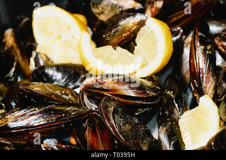 Gedämpfte Muscheln in einem klassischen Topf mit einigen Stücken der Zitrone Stockfoto