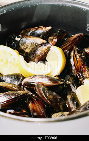 Gedämpfte Muscheln in einem klassischen Topf mit einigen Stücken der Zitrone Stockfoto