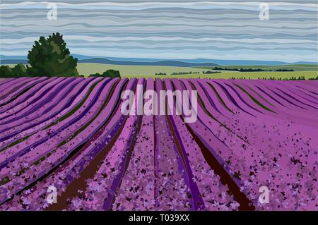 Helle Lavendelfeld mit Sträuchern, Bäumen und blauer Himmel Vector Illustration Stock Vektor