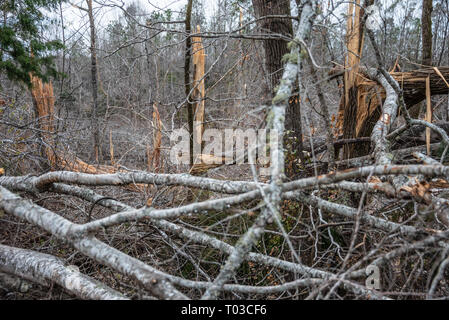 Riß und Schneebruch vom tödlichen Tornado, der durch Lee County, Alabama am 3. März 2019 verabschiedet. (USA) Stockfoto