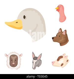 Kuh, Esel, Ziege, Küken, Gans, Schwein, Gesicht, Kuh, Tier, Haustier, Ostern, Käse, Süßes, Huhn, Vogel, Schweinefleisch, Milch, grau, Kanada, Fleisch, Rind, Maultier, Molkerei, Baby, Ente, Schwein, Rind, Weide, Bauernhof, Kopf, Essen, hausgemachte, Landschaft, Homestead, Landwirtschaft, Tierzucht, Ranch, organische, Set, Vector, Icon, Illustration, isoliert, Sammlung, Design, Element, Grafik, Zeichen, Cartoon, Farbe Vektor Vektoren, Stock Vektor