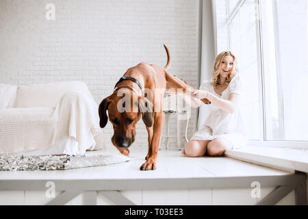 Schwangere junge Frau das Spielen mit Ihrem Hund in der modernen City Apartment Stockfoto