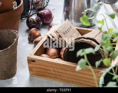 Garten Konzept. Verschiedene Werkzeuge, Töpfe, Tulpenzwiebeln und Hyazinthen und Samen in Papiertüten auf einem grauen Tabelle Stockfoto