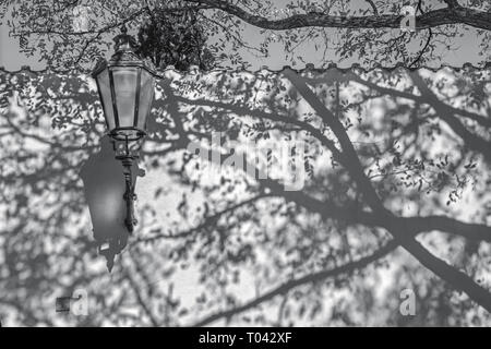 Prag - die Schatten der Akazien für die Wand der Kapuziner Kloster. Stockfoto