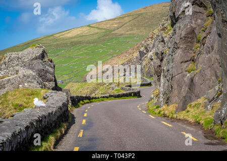 Slea Head Drive, Halbinsel Dingle, Co Kerry, Irland Stockfoto