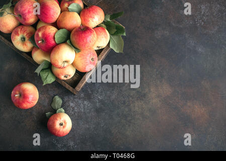 Rote Äpfel in Holzkiste. Bio rote Äpfel mit Blättern auf rustikalen Hintergrund, kopieren. Stockfoto