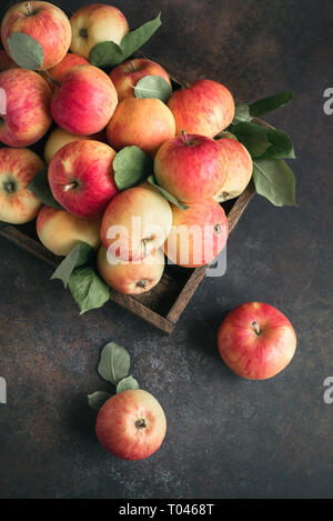 Rote Äpfel in Holzkiste. Bio rote Äpfel mit Blättern auf rustikalen Hintergrund, kopieren. Stockfoto